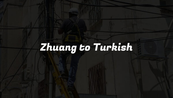 Zhuang to Turkish