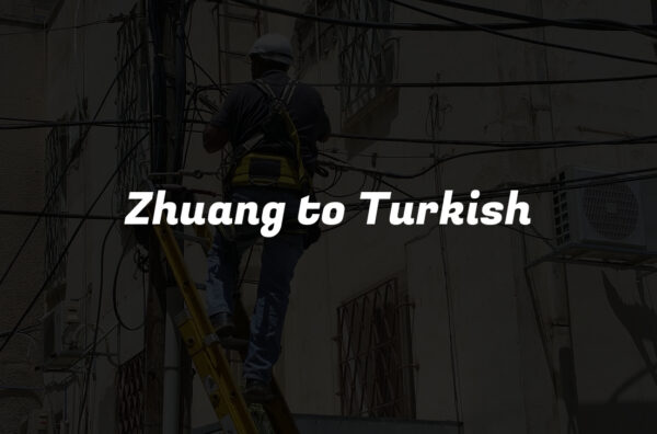 Zhuang to Turkish