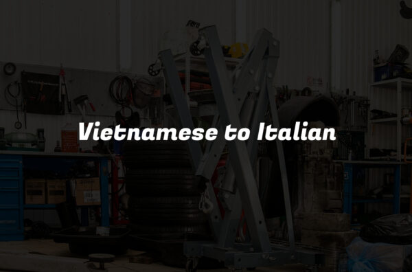 Vietnamese to Italian
