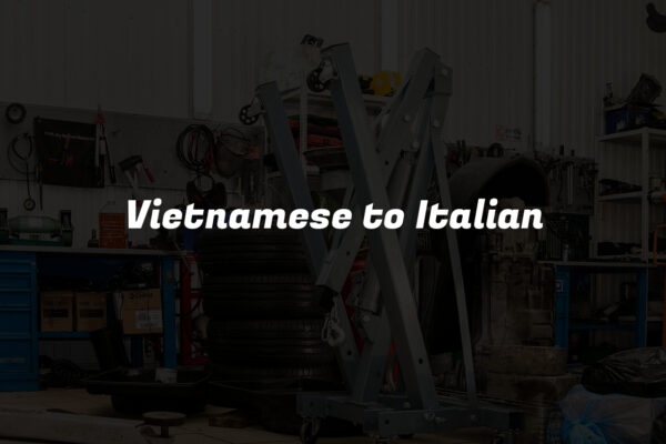 Vietnamese to Italian