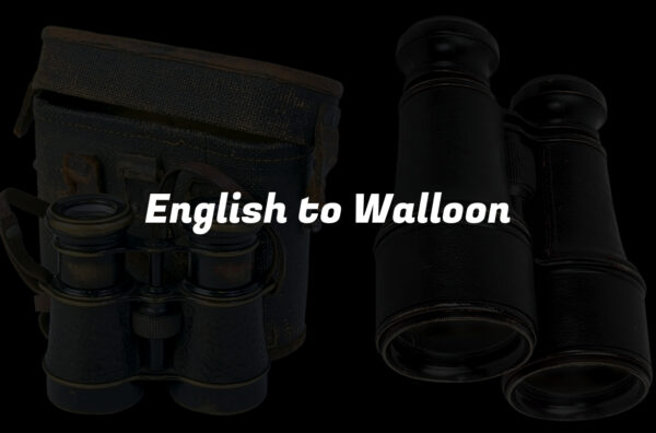 English to Walloon