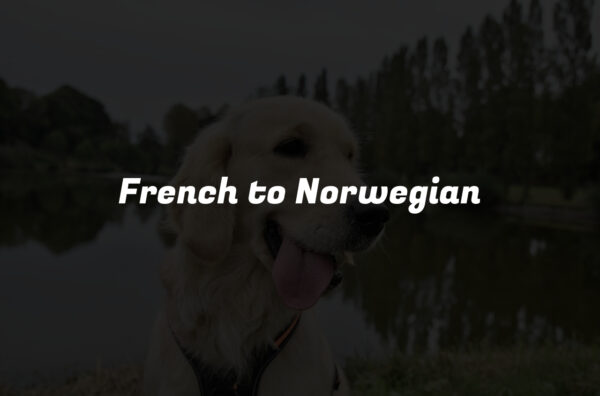 French to Norwegian