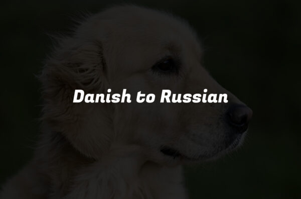 Danish to Russian