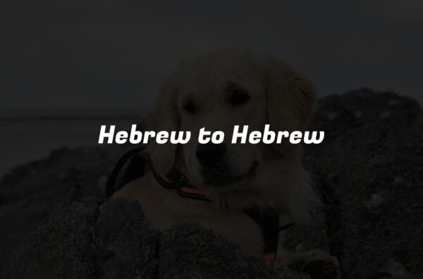 Hebrew to Hebrew
