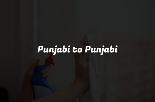 Punjabi to Punjabi