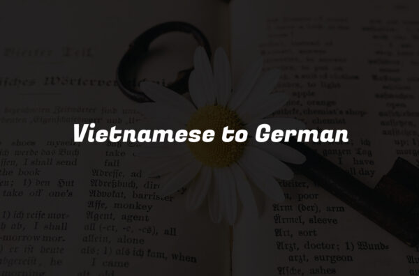 Vietnamese to German