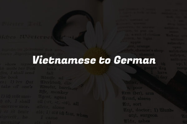 Vietnamese to German