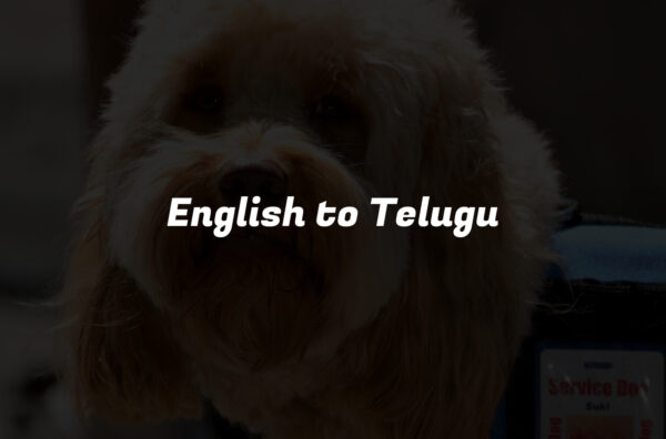 English to Telugu