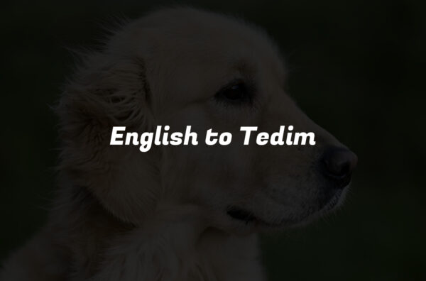 English to Tedim