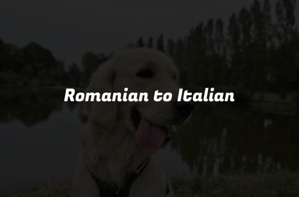 Romanian to Italian