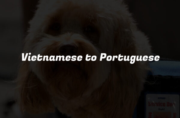Vietnamese to Portuguese