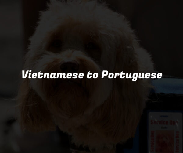Vietnamese to Portuguese