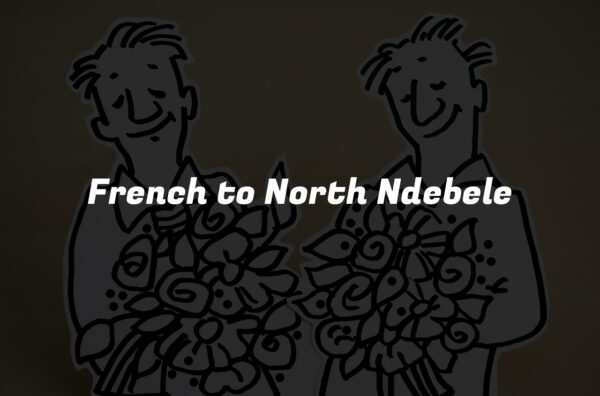 French to North Ndebele