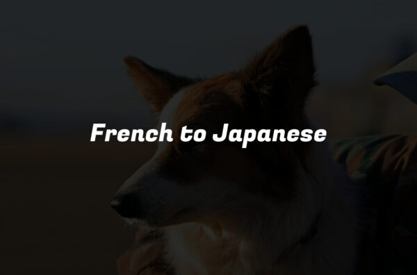 French to Japanese
