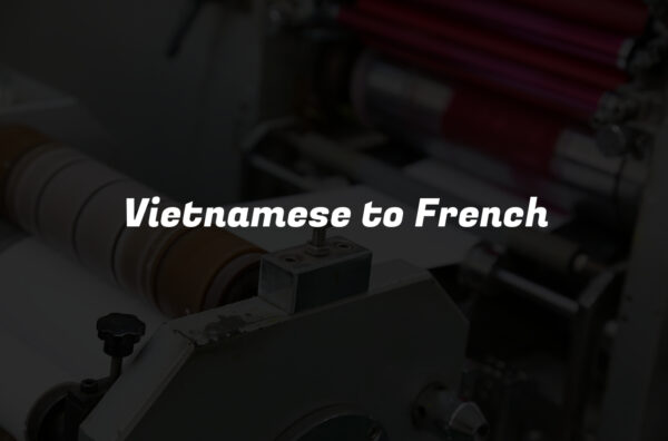 Vietnamese to French