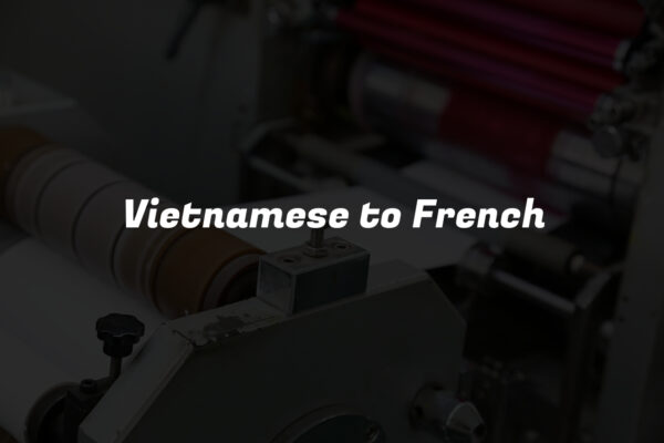 Vietnamese to French