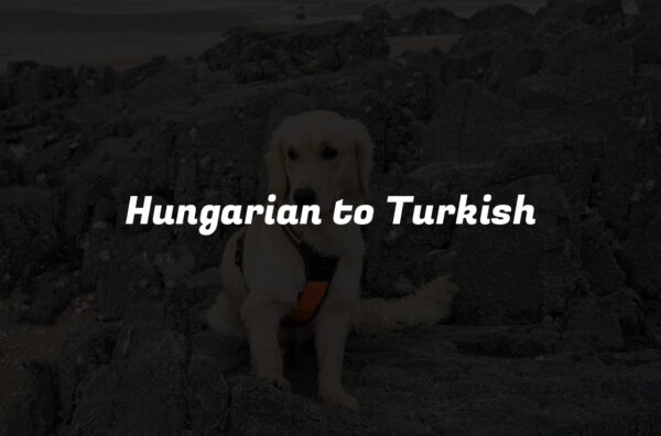 Hungarian to Turkish