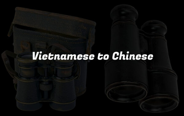Vietnamese to Chinese