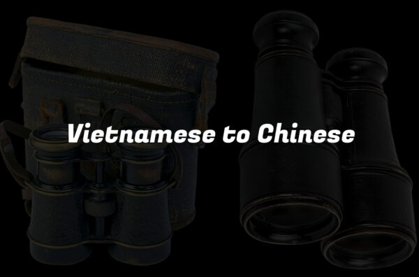 Vietnamese to Chinese