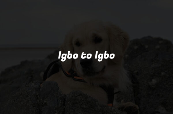 Igbo to Igbo