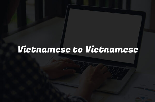 Vietnamese to Vietnamese