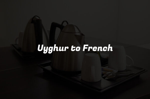 Uyghur to French