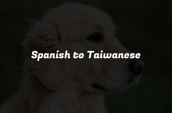 Spanish to Taiwanese