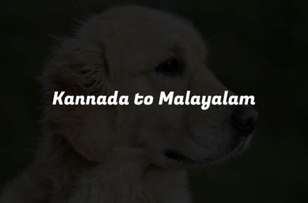 Kannada to Malayalam