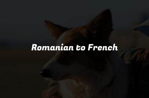 Romanian to French