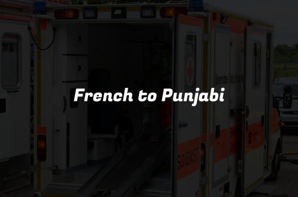 French to Punjabi