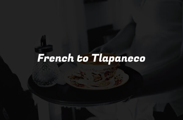 French to Tlapaneco
