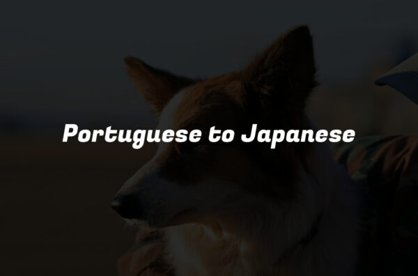 Portuguese to Japanese