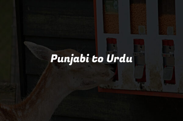 Punjabi to Urdu