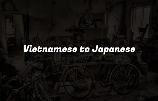 Vietnamese to Japanese