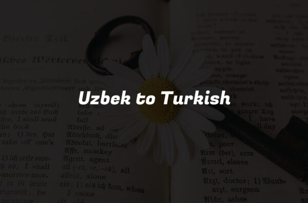 Uzbek to Turkish